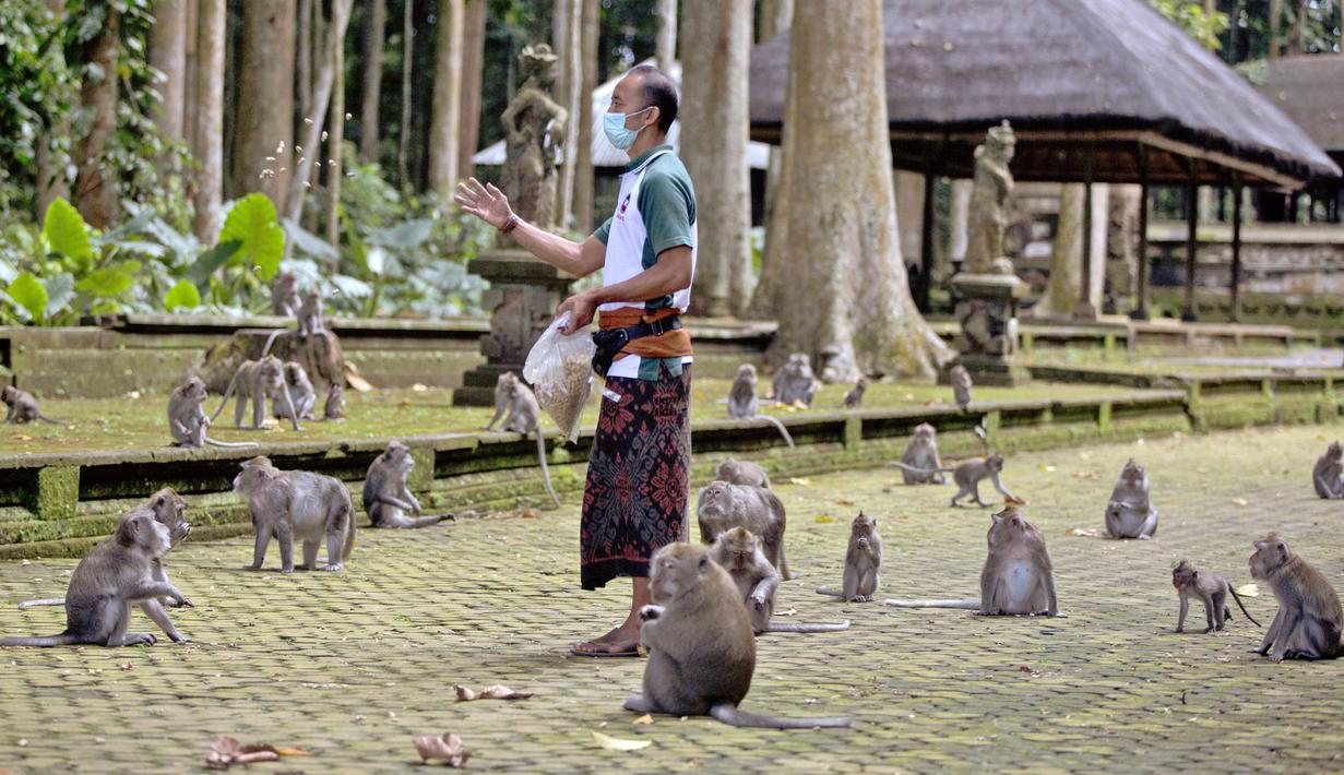Pesona Taman Wisata Alam Sangeh di Bali: Kecantikan Tropis yang Memikat 
