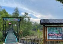 Rahasia Keindahan: Lembur Mangrove Patikang di Banten