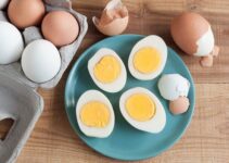 Manfaat Telur: Sumber Protein Berkualitas Tinggi untuk Kesehatan Optimal