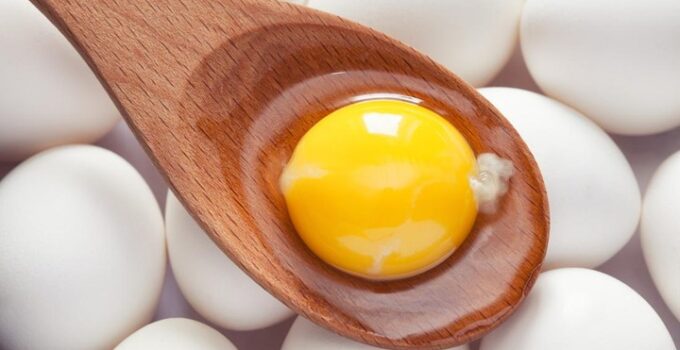 Kuning Telur: Tambahan Gizi yang Tak Ternilai bagi Kesejahteraan Anda
