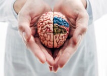 Brain Health: Strategies for a Sharp and Healthy Mind