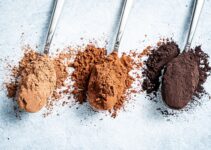 Cocoa Powder: Decadent Desserts and Indulgent Delights Await